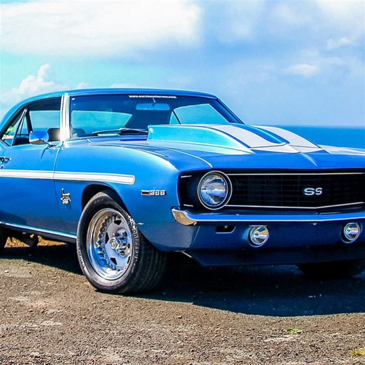 Camaro SS Thrill product image