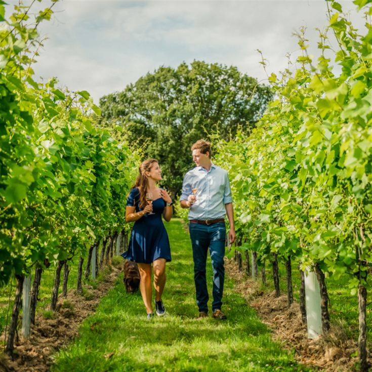 Gusbourne Estate Sparkling Wine Tasting for 2 product image