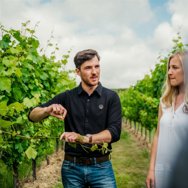 Gusbourne Estate Sparkling Wine Tasting for 2 product image