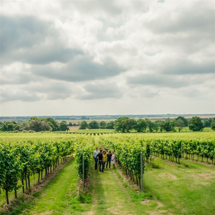Gusbourne Estate Sparkling Wine Tasting for 2 product image