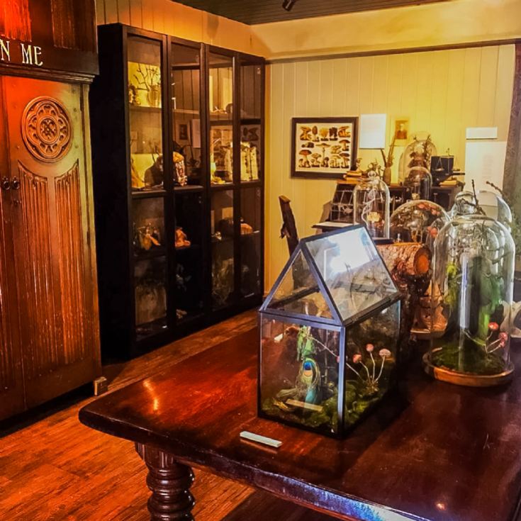 Magical Fairy Garden & Afternoon Tea Experience for Two product image