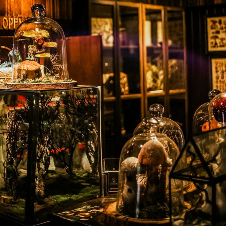 Magical Fairy Garden & Afternoon Tea Experience for Two product image