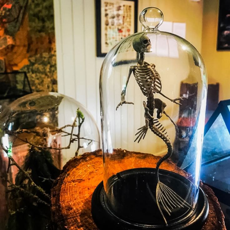 Magical Fairy Garden & Afternoon Tea Experience for Two product image