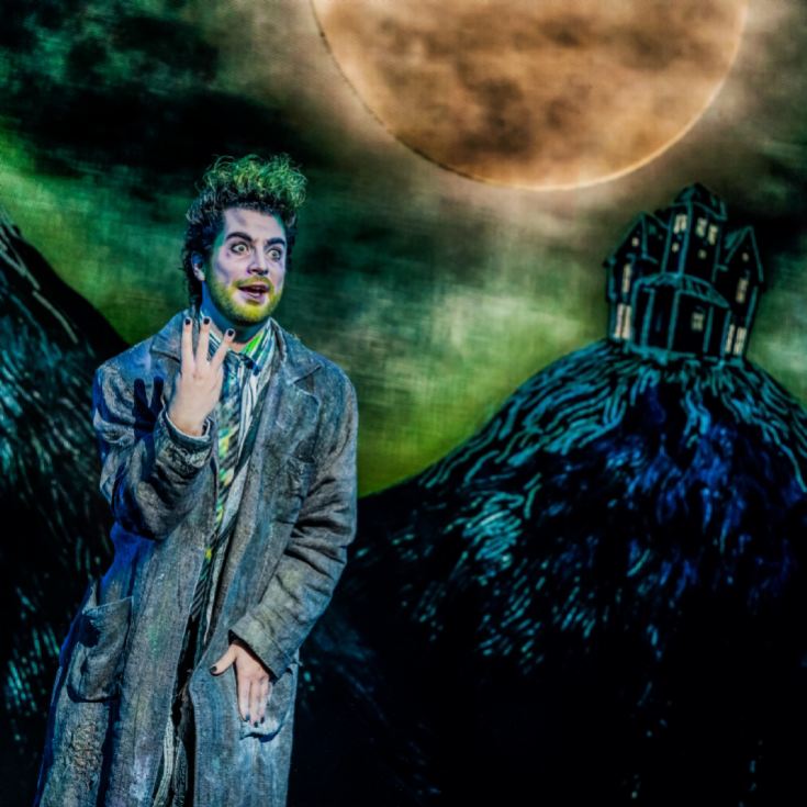 Beetlejuice Theatre Tickets for Two product image