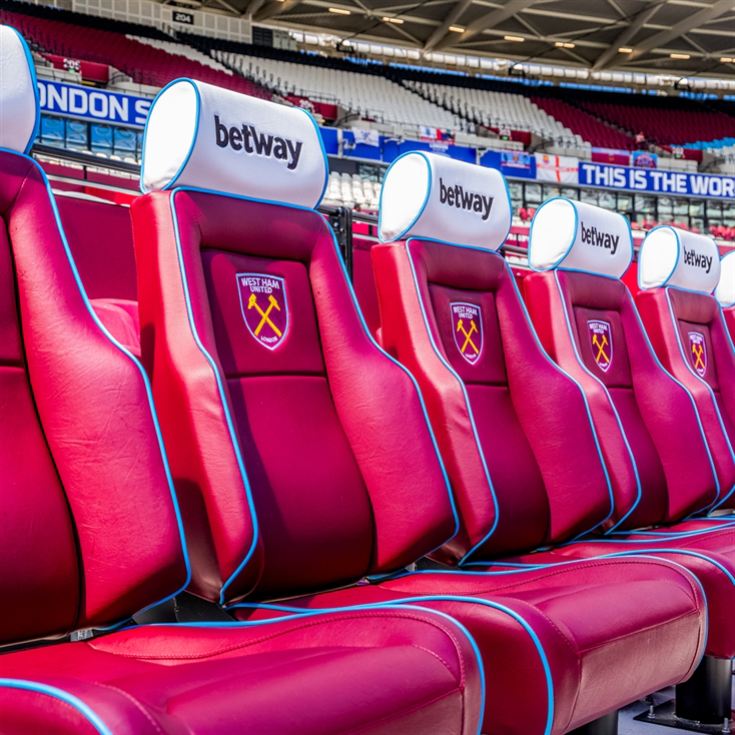 London Stadium Family Tour product image