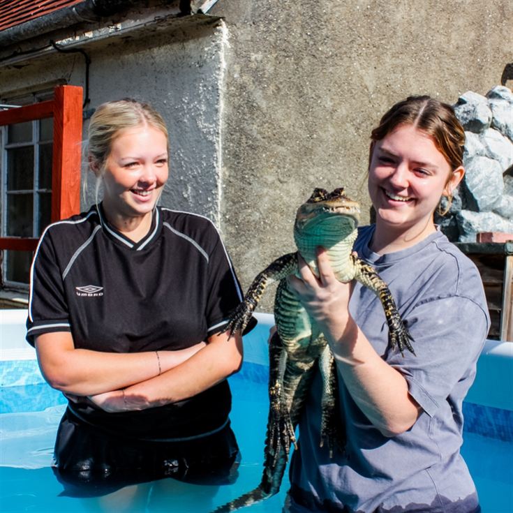 Swimming with Crocodiles for a Family of Four product image