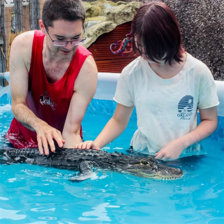 Swimming with Crocodiles for a Family of Four product image
