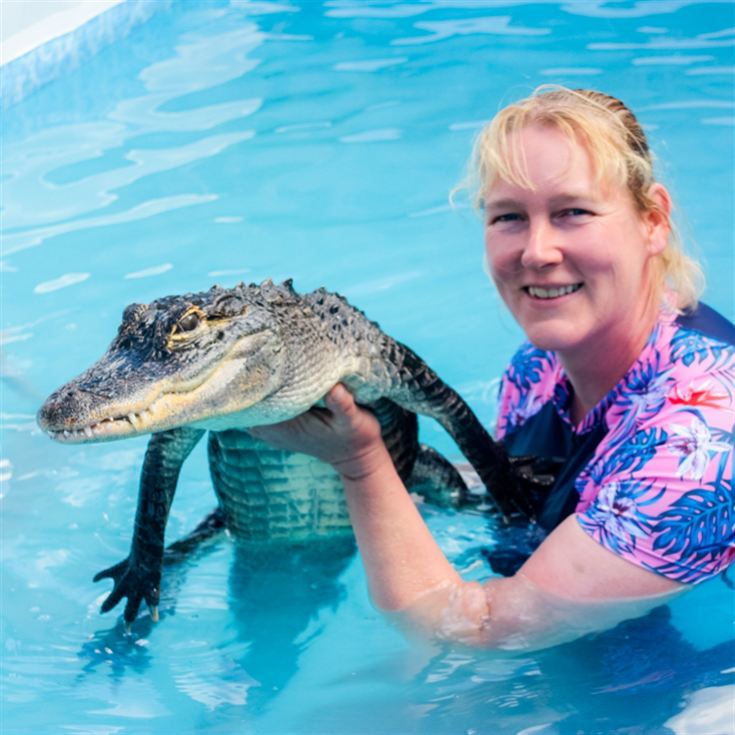 Swimming with Crocodiles for a Family of Four product image