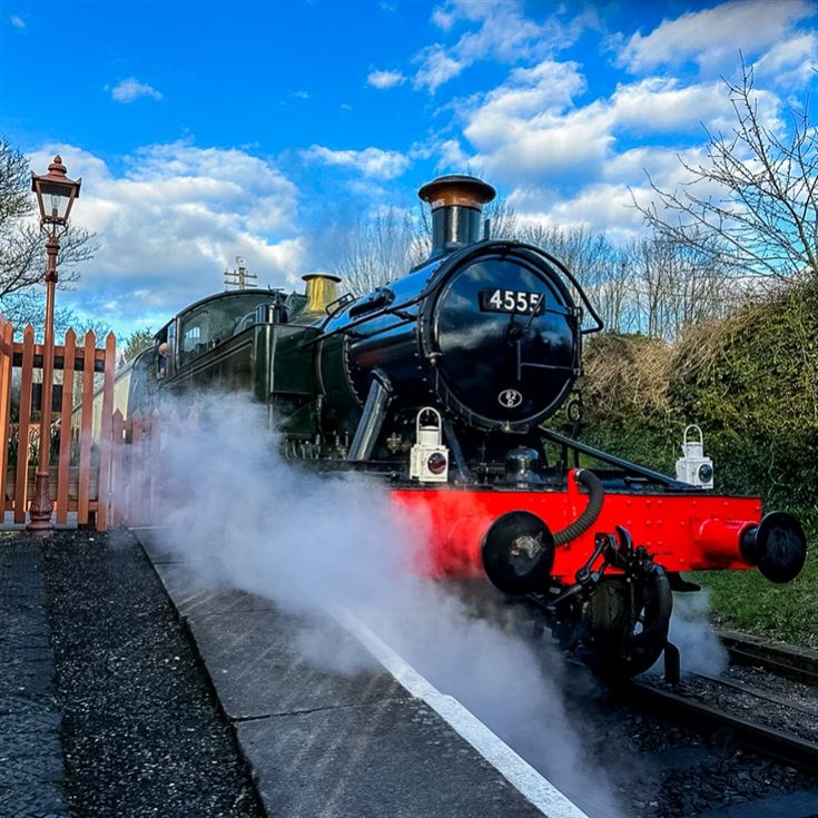 Steam Train Discovery Day for Two product image