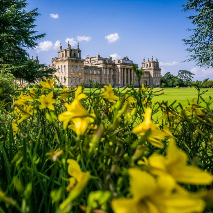 Entrance to Blenheim Palace & Three Course Lunch at Weston Manor for Two product image