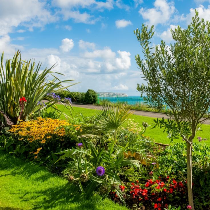 Relaxing Break in the Country product image