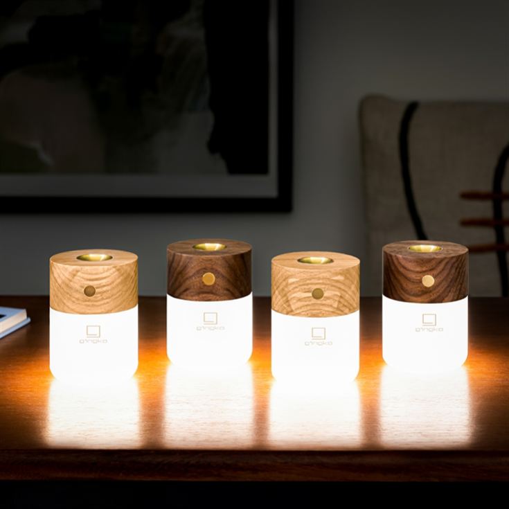 Smart Diffuser Lamp product image