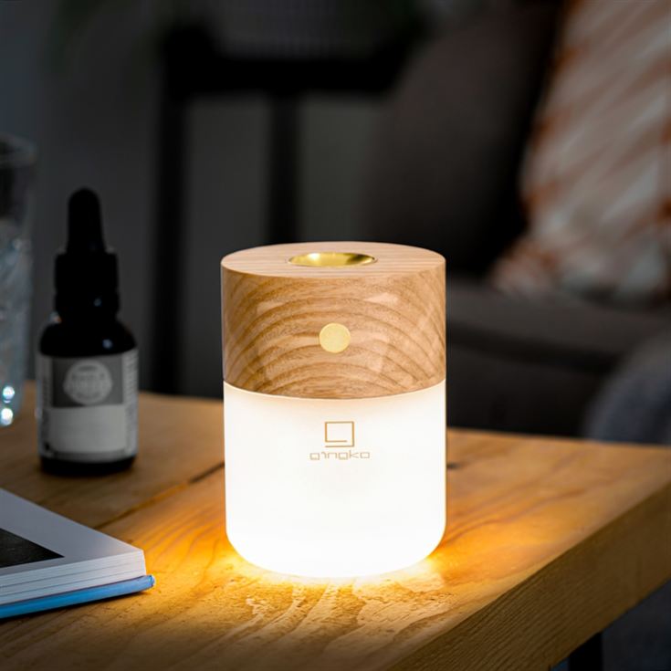 Smart Diffuser Lamp product image