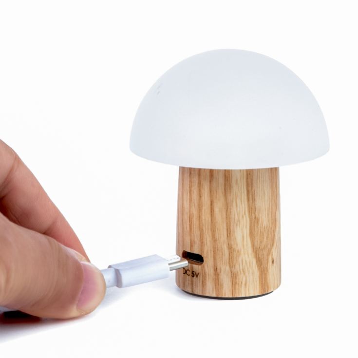Wooden Mushroom Lamps product image