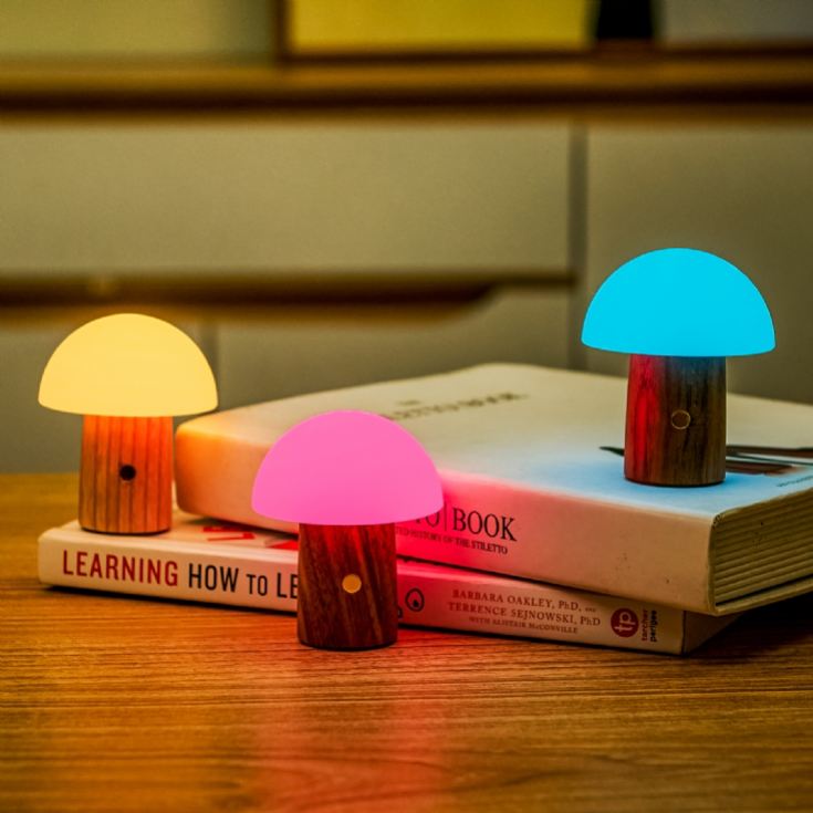 Wooden Mushroom Lamps product image