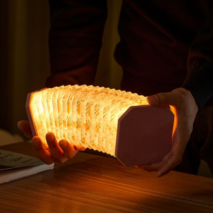 Velvet Accordian Lamps product image