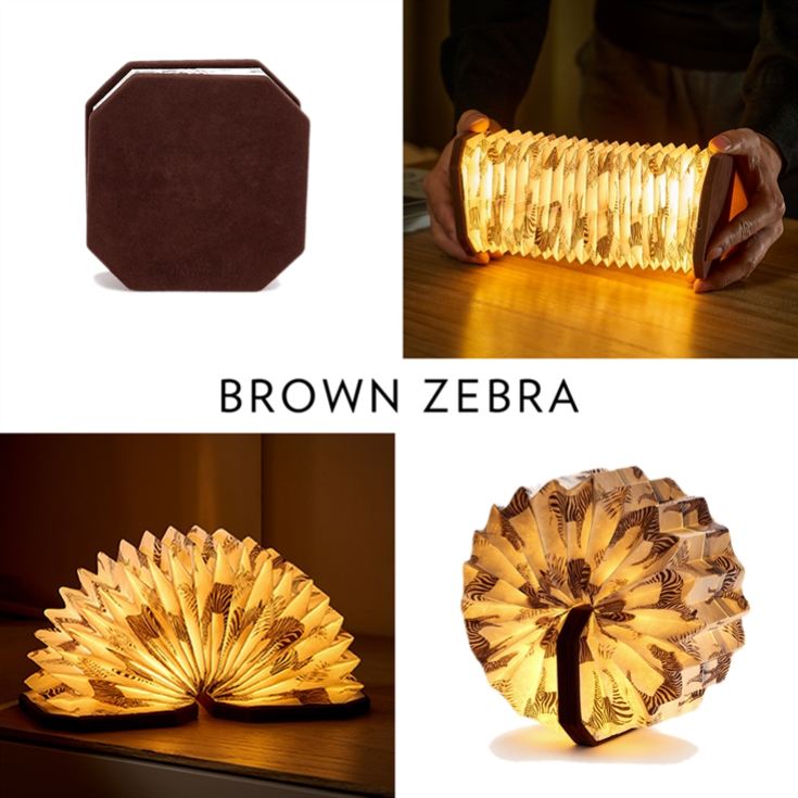 Velvet Accordian Lamps product image