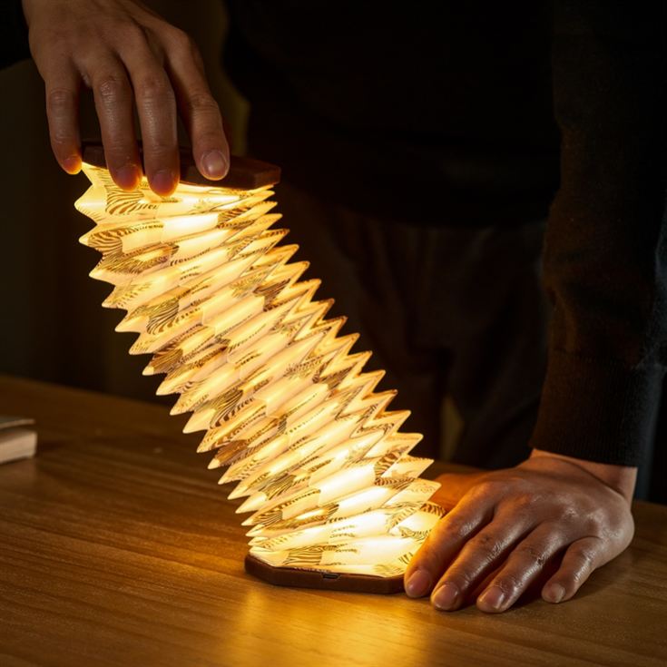 Velvet Accordian Lamps product image
