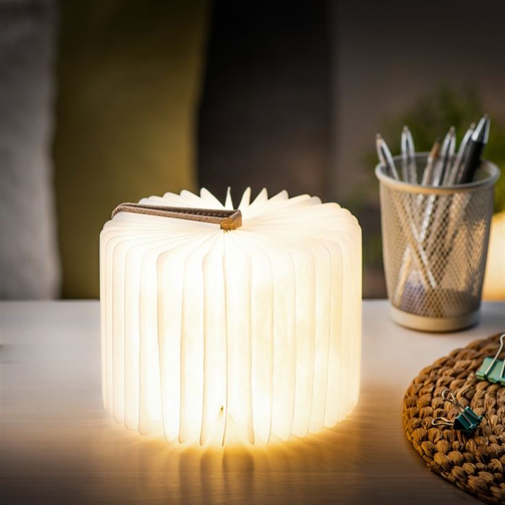 Smart Book Lights product image
