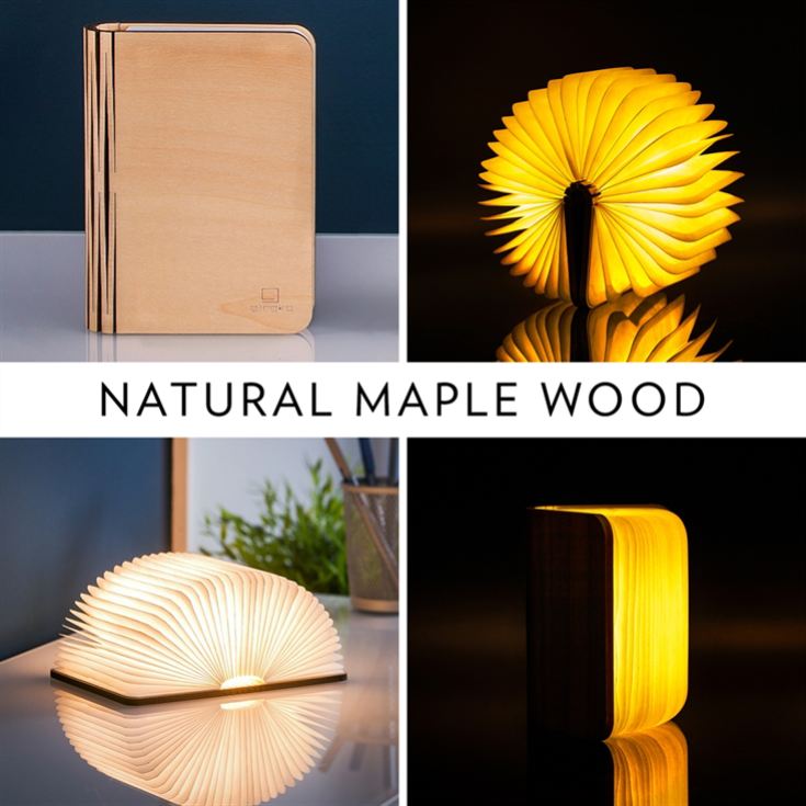Smart Book Lights product image