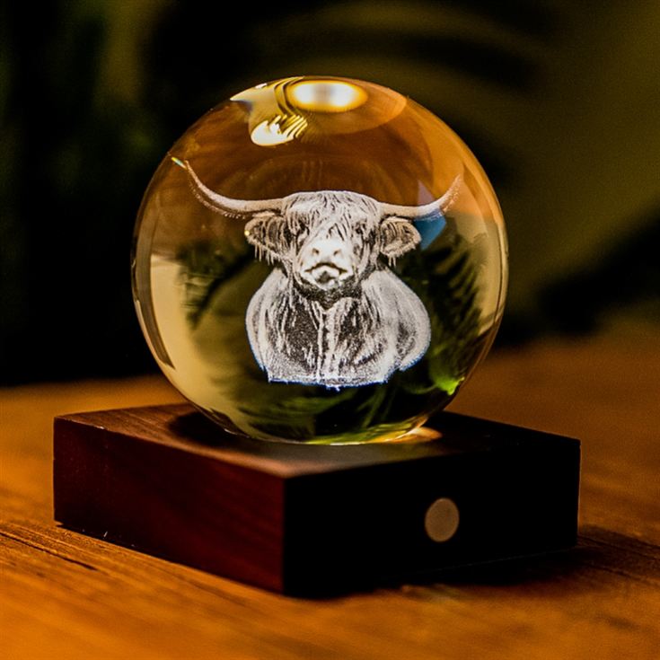 Amber Crystal Lights - Nature Collection product image