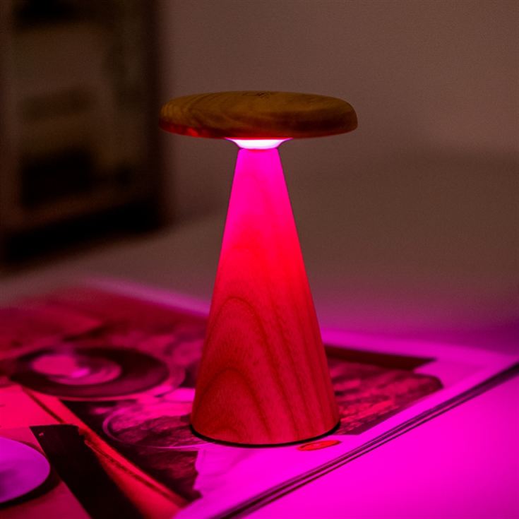 Sylvia Table Lamps product image