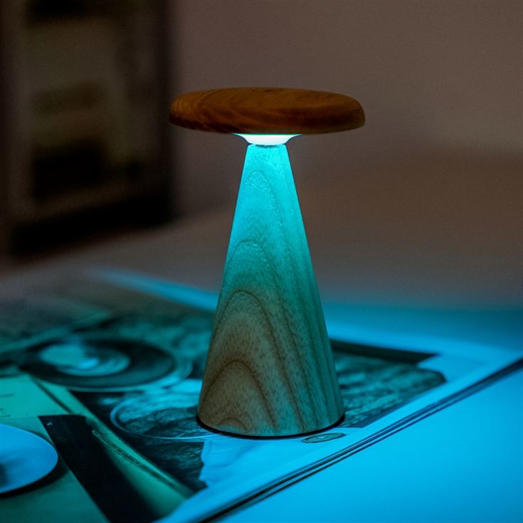 Sylvia Table Lamps product image