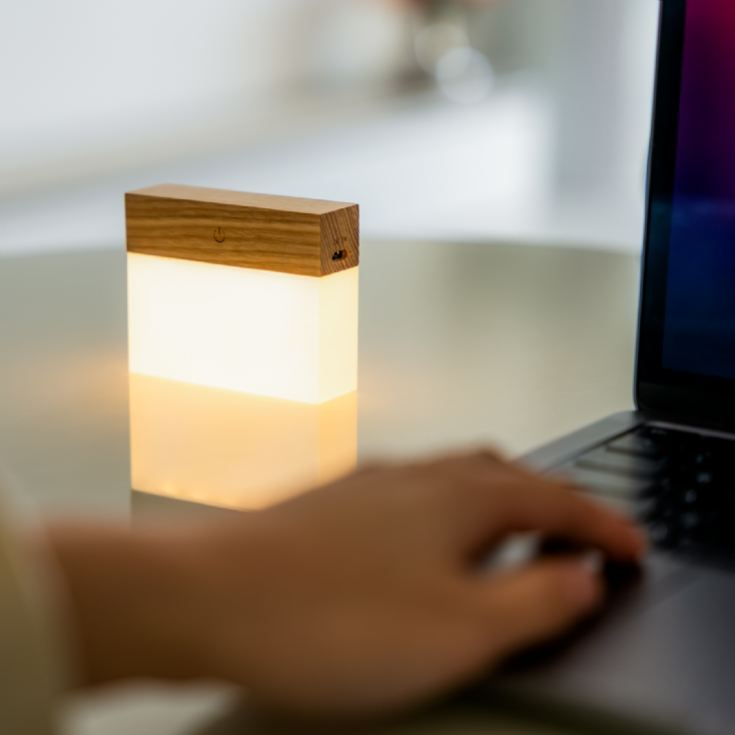 Gingko CuraCheese Night Lights product image