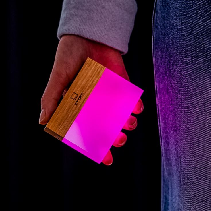 Gingko CuraCheese Night Lights product image