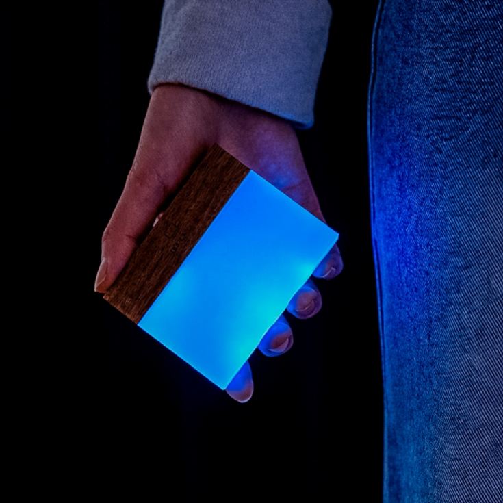 Gingko CuraCheese Night Lights product image