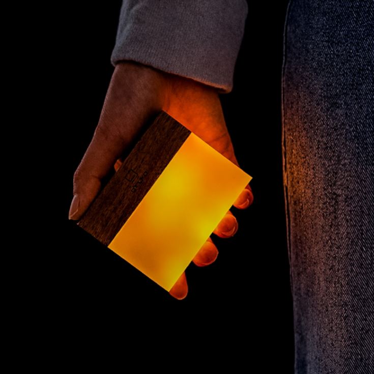 Gingko CuraCheese Night Lights product image