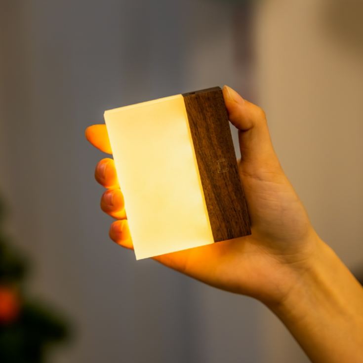 Gingko CuraCheese Night Lights product image