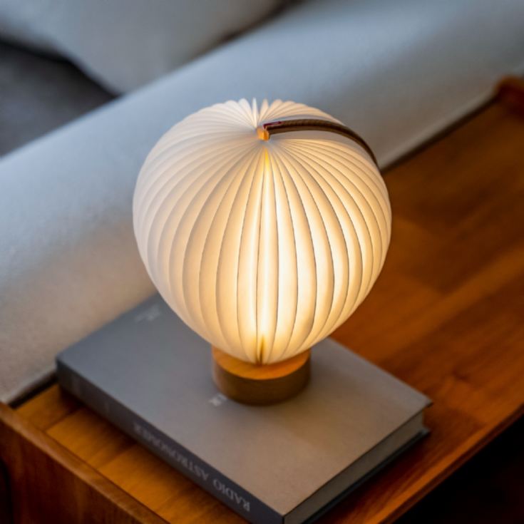 Gingko Aeris Lights product image