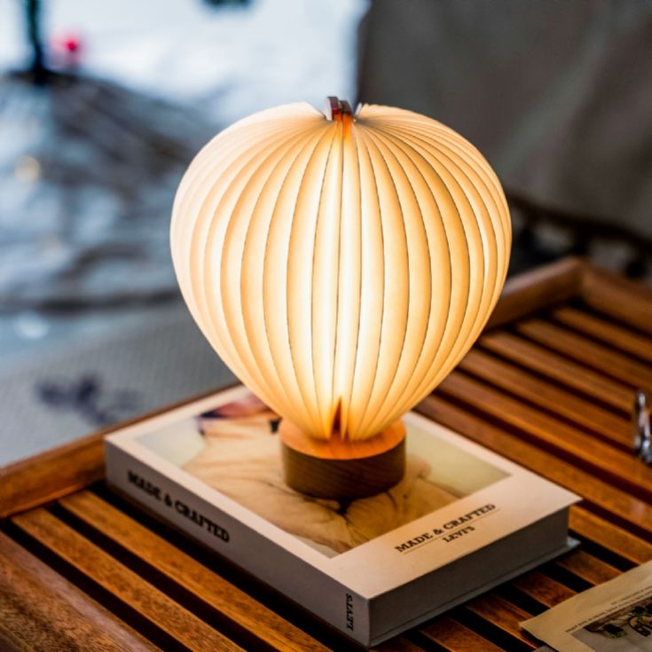 Gingko Aeris Lights product image