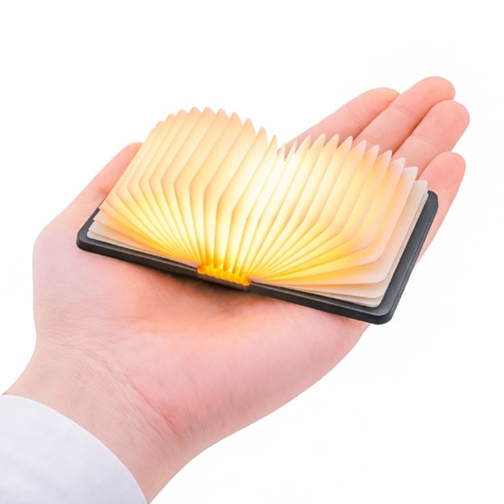 Gingko Super Mini Smart Book Lights product image