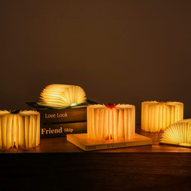 Gingko Super Mini Smart Book Lights product image