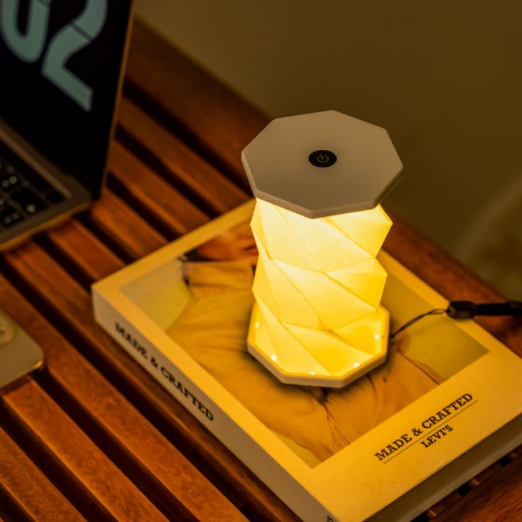 Gingko Mini Twist Hexagon Lights product image