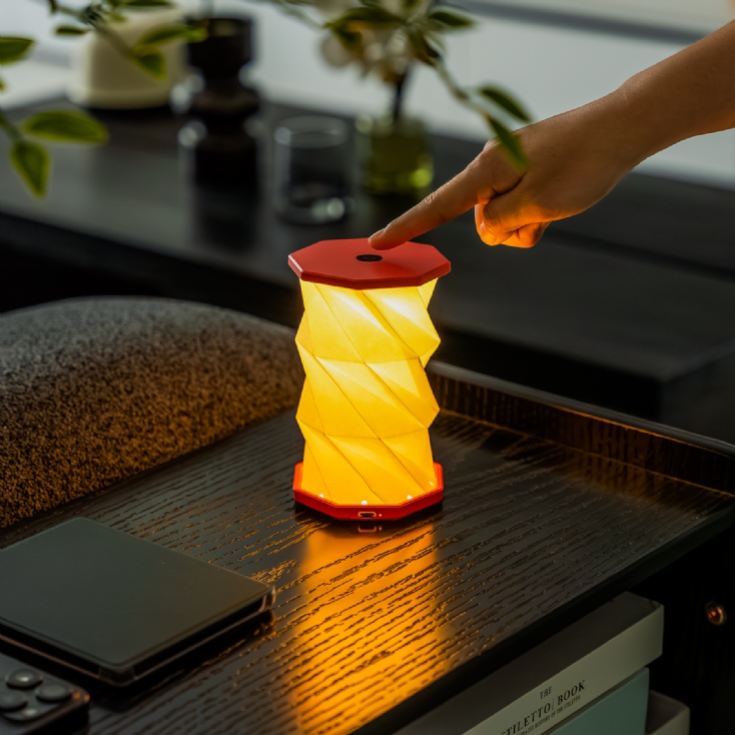 Gingko Mini Twist Hexagon Lights product image