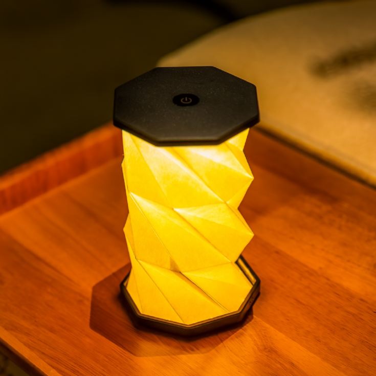 Gingko Mini Twist Hexagon Lights product image