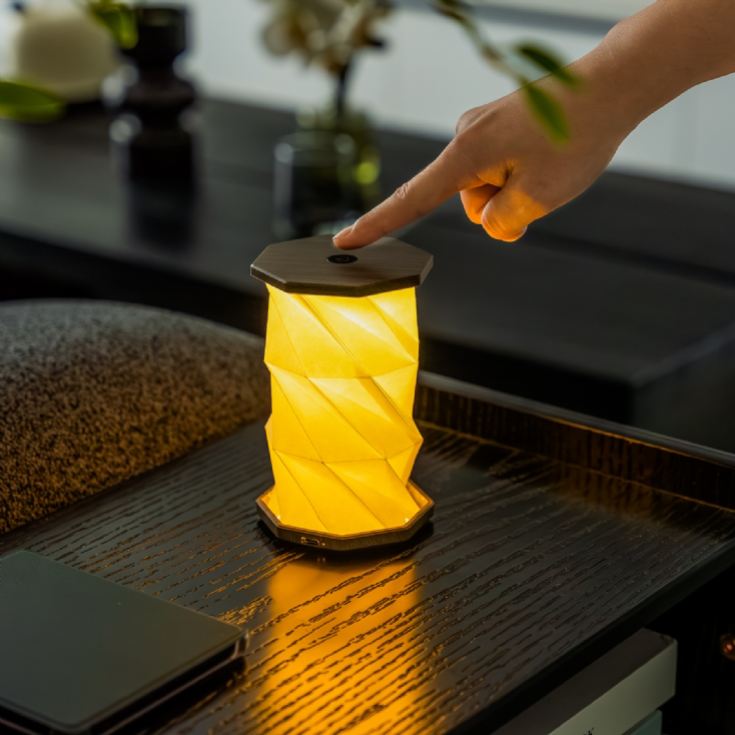 Gingko Mini Twist Hexagon Lights product image
