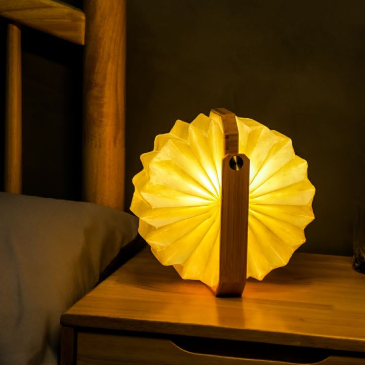 Gingko Smart Origami Lamps product image
