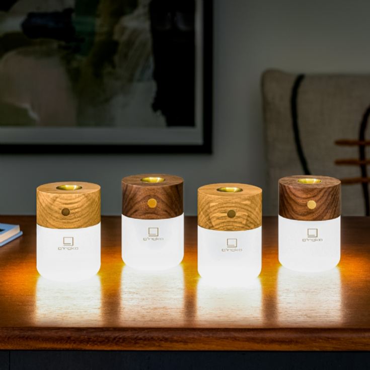 Gingko Smart Diffuser Lamps product image