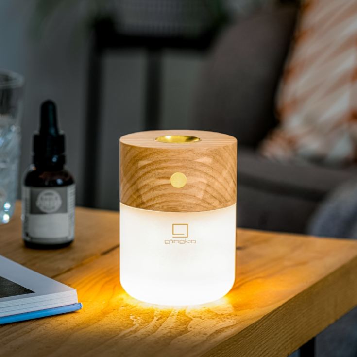 Gingko Smart Diffuser Lamps product image