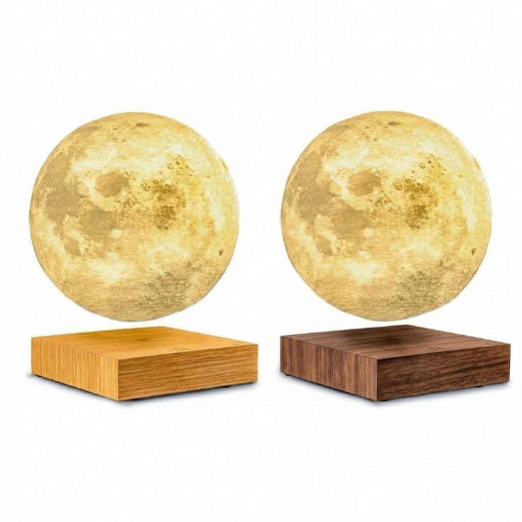 Gingko Smart Moon Lamps product image
