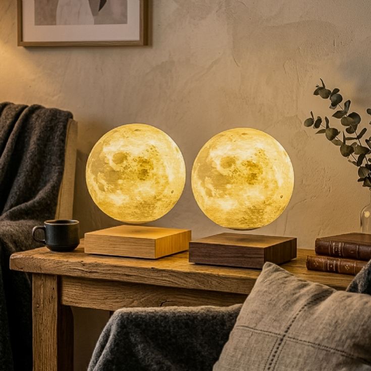 Gingko Smart Moon Lamps product image