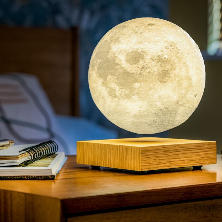 Gingko Smart Moon Lamps product image