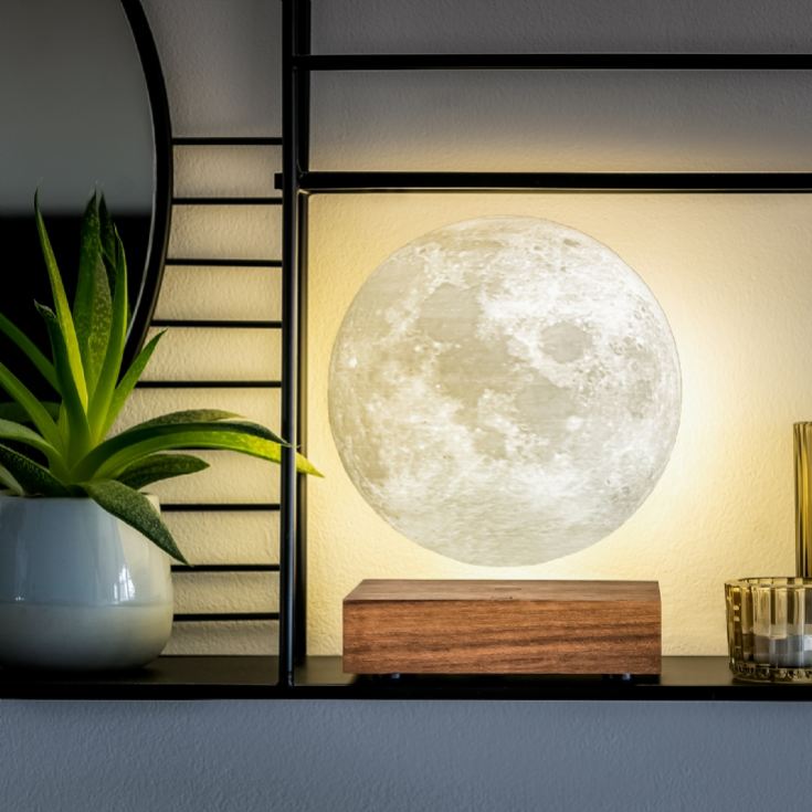 Gingko Smart Moon Lamps product image