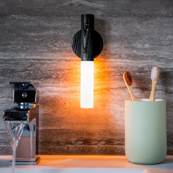 Gingko Smart Baton Lights product image