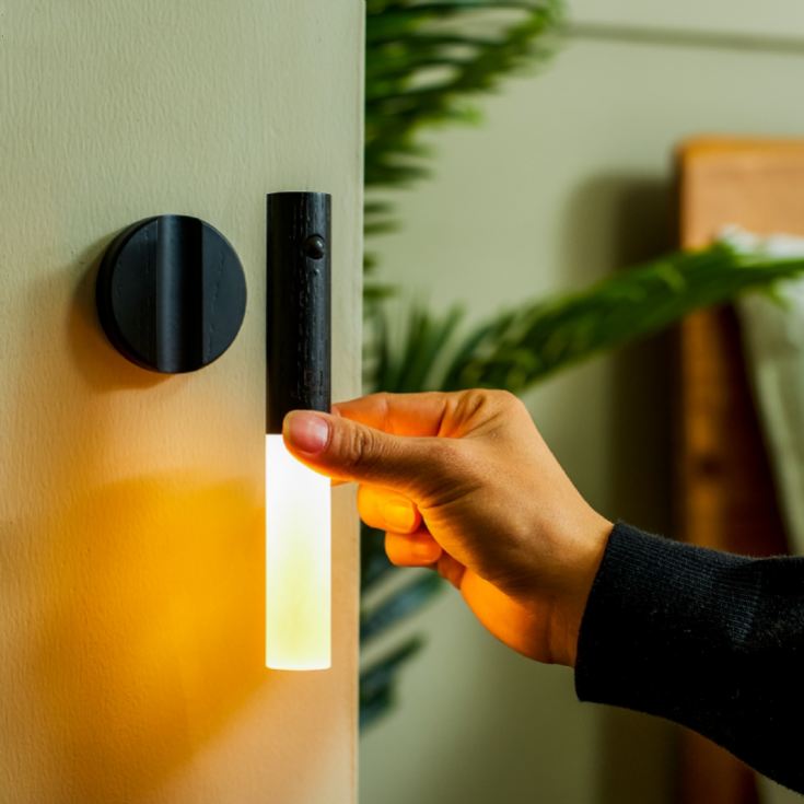 Gingko Smart Baton Lights product image