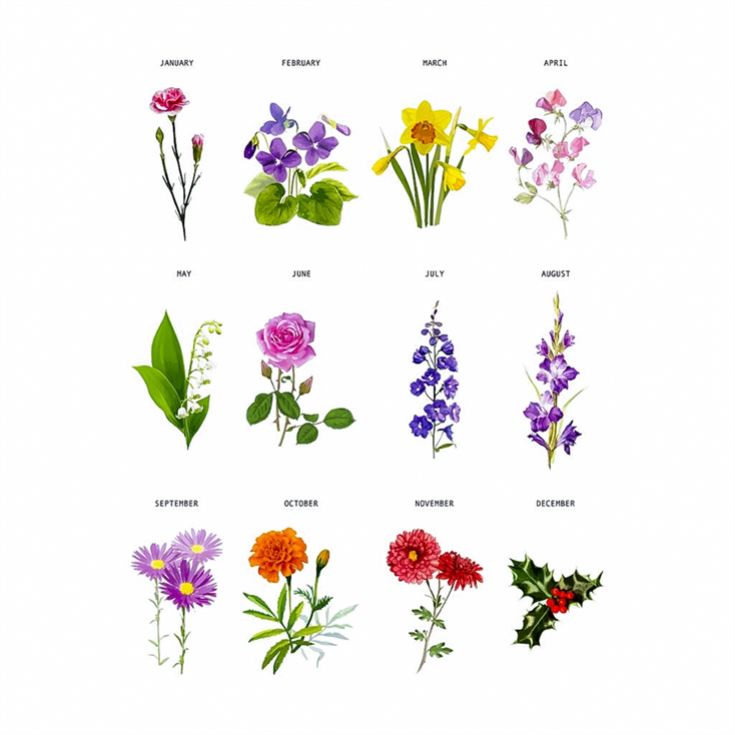 Personalised Birth Month Flower Can Glass product image